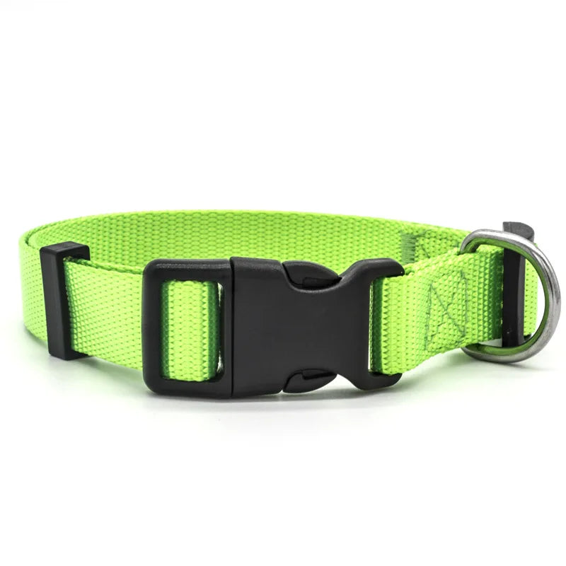 Solid Color Nylon Dog Collar – Adjustable Breakaway XS–XL