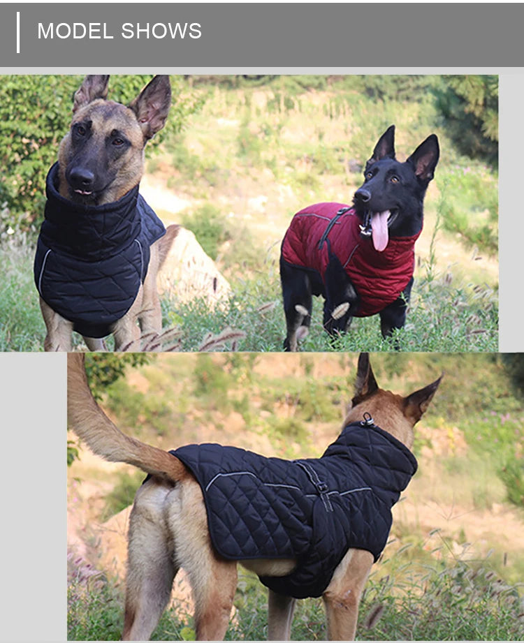 Waterproof Reflective Dog Coat – Cotton Lined Large Winter Jacket