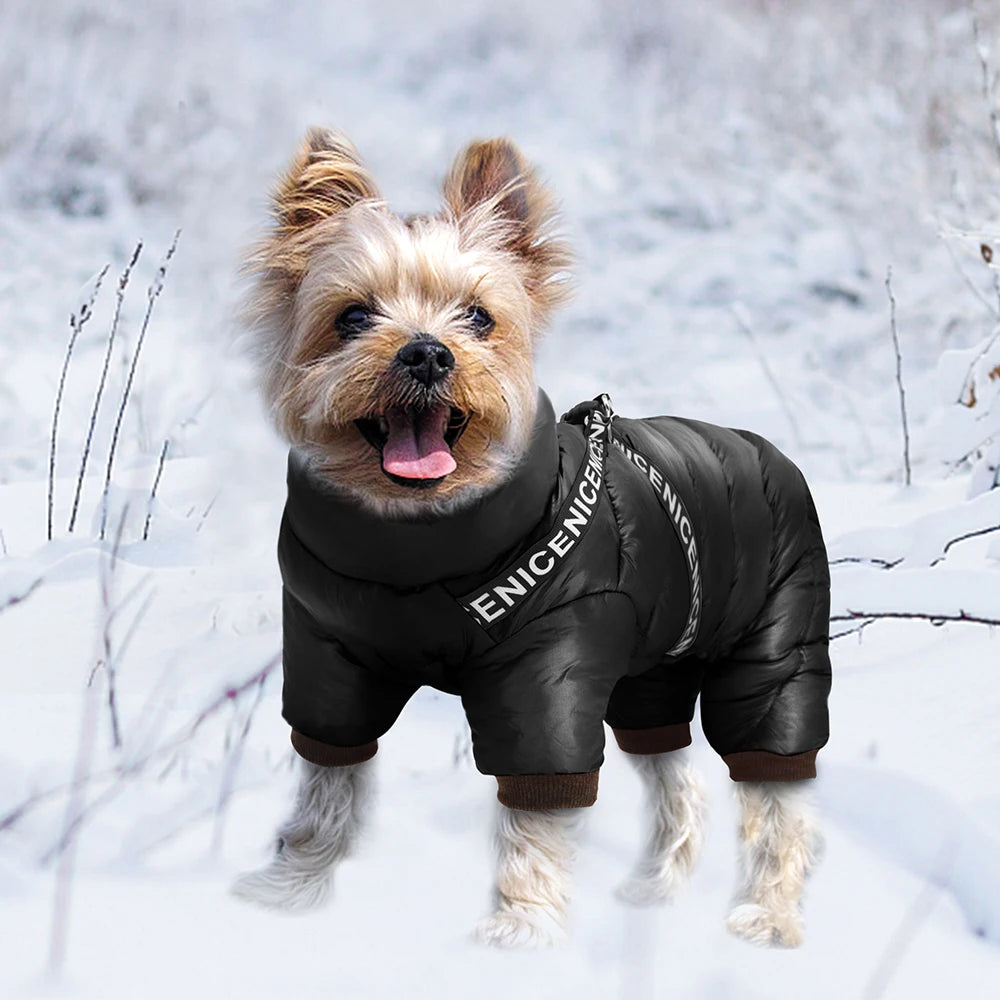PET ARTIST Winter Dog Jacket – Waterproof Cotton Coat