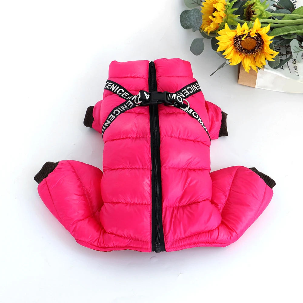 PET ARTIST Winter Dog Jacket – Waterproof Cotton Coat