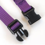 Solid Color Nylon Dog Collar – Adjustable Breakaway XS–XL