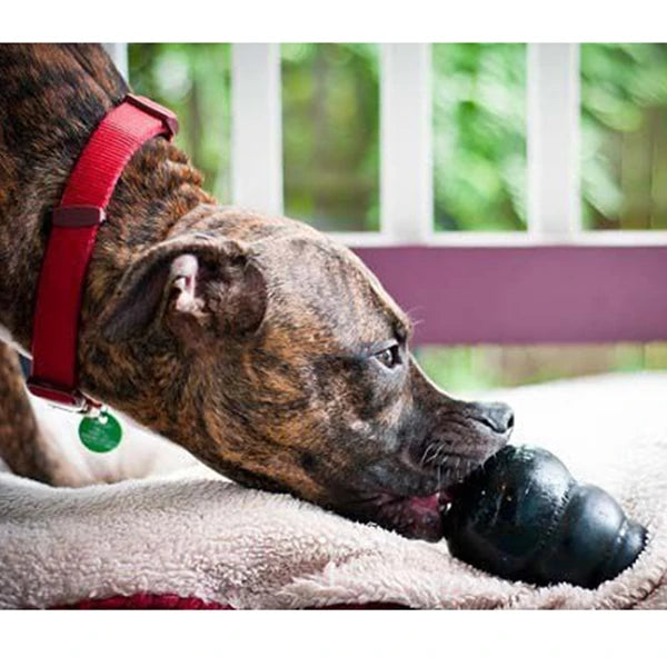 KONG Extreme Dog Chew Toy XL – Ultra Durable Rubber Toy for Power Chewers