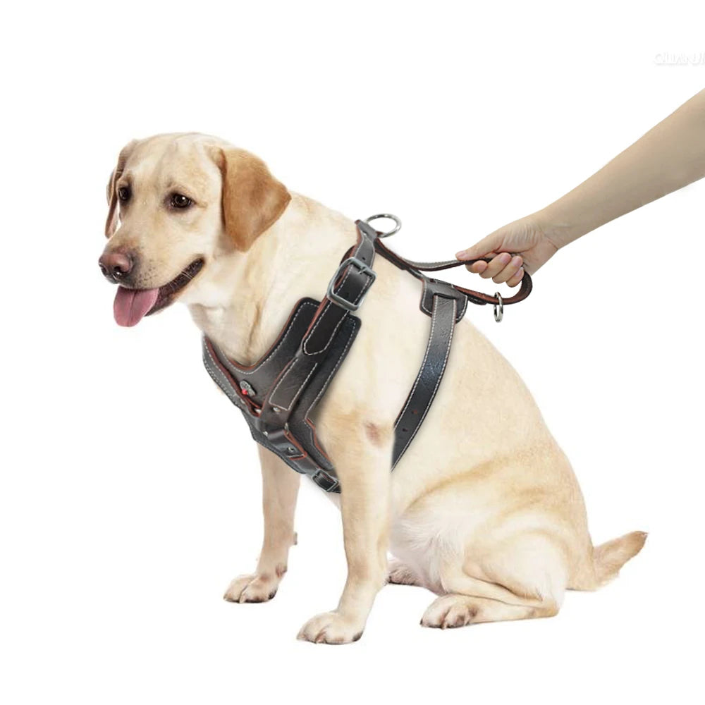 Leather Dog Harness – Heavy Duty Control Vest