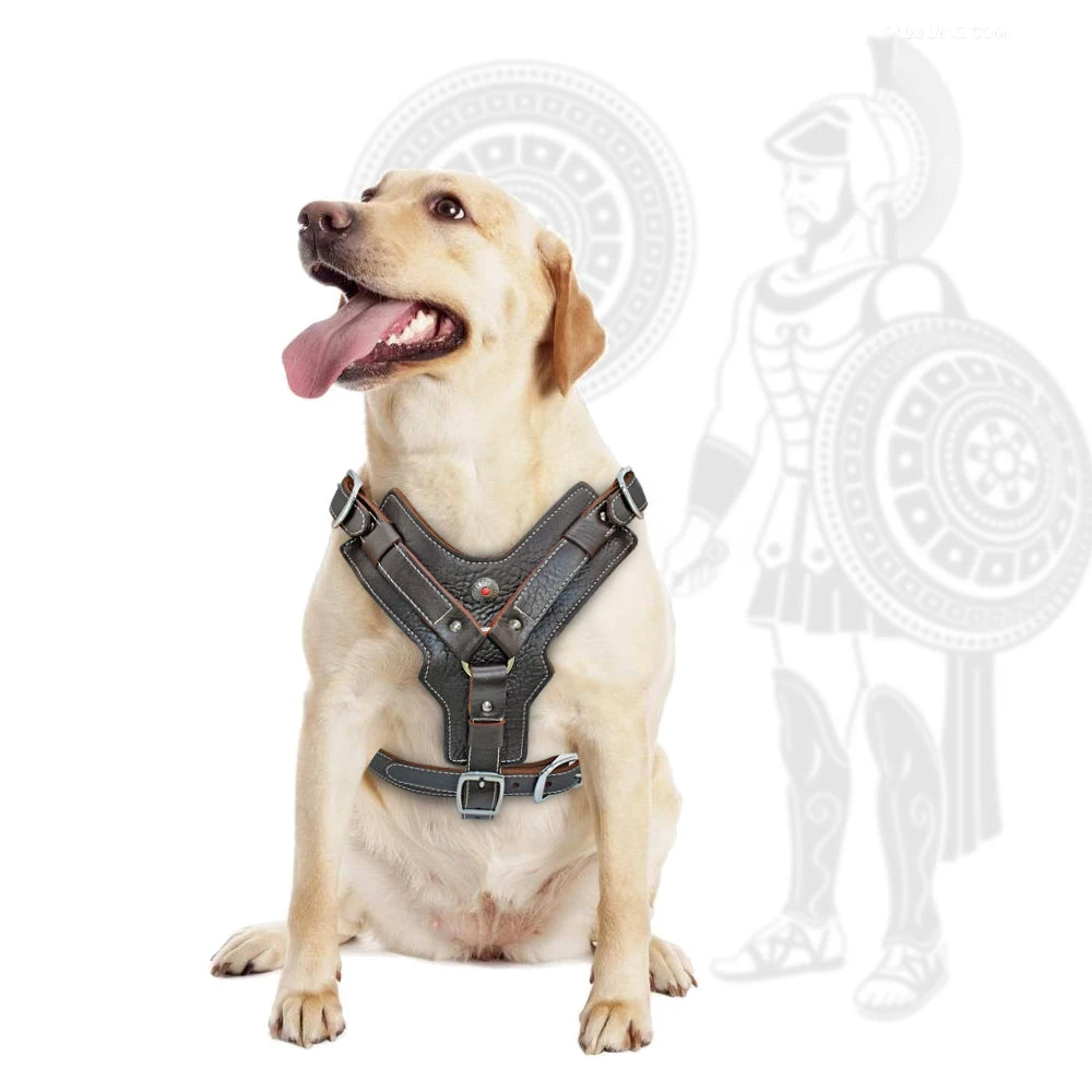 Leather Dog Harness – Heavy Duty Control Vest