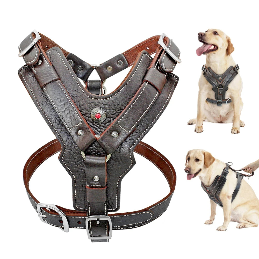 Leather Dog Harness – Heavy Duty Control Vest