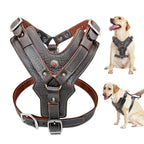Leather Dog Harness – Heavy Duty Control Vest
