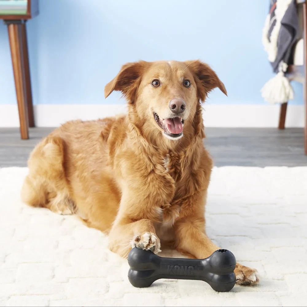 KONG Extreme Goodie Bone L – Durable Treat Dispensing Toy