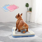 Portable Dog Potty Tray – Indoor Training Toilet