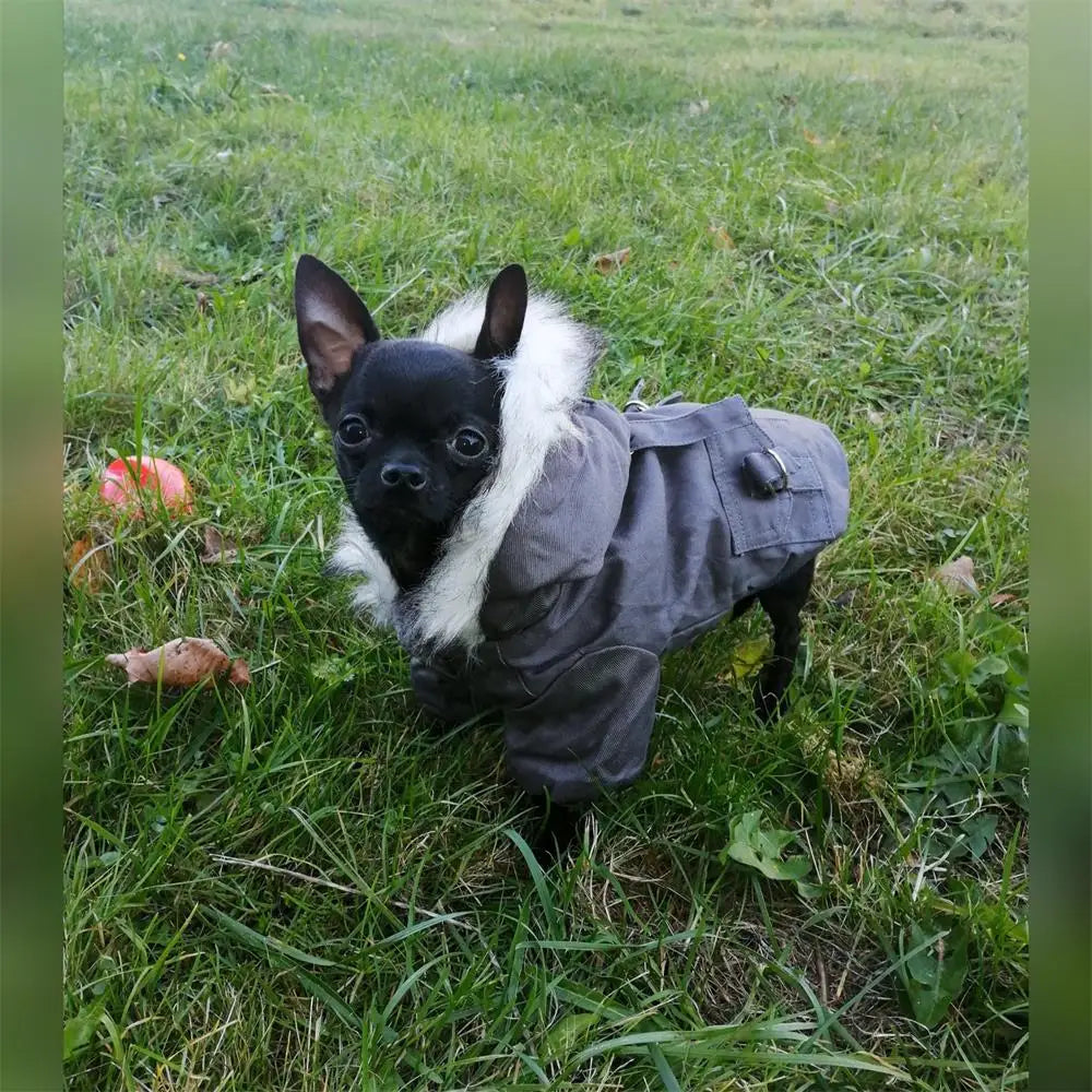 Brother Dog Cotton Winter Hooded Jacket – Warm Coat for Small Dogs