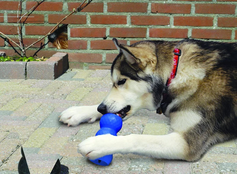 KONG Genius Mike Dog Toy – Interactive Treat Dispensing Puzzle Toy