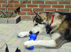 KONG Genius Mike Dog Toy – Interactive Treat Dispensing Puzzle Toy
