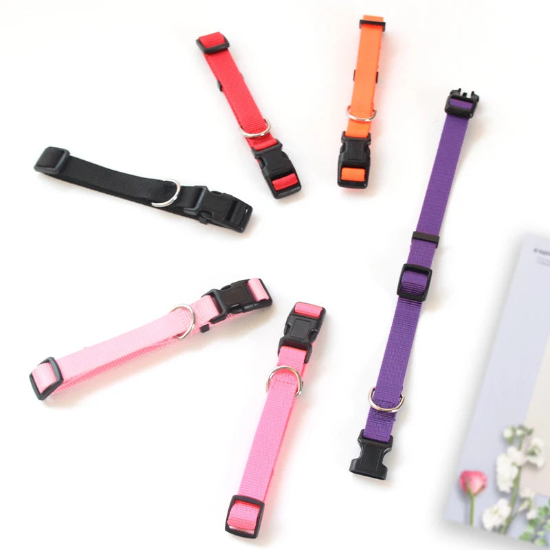 Solid Color Nylon Dog Collar – Adjustable Breakaway XS–XL