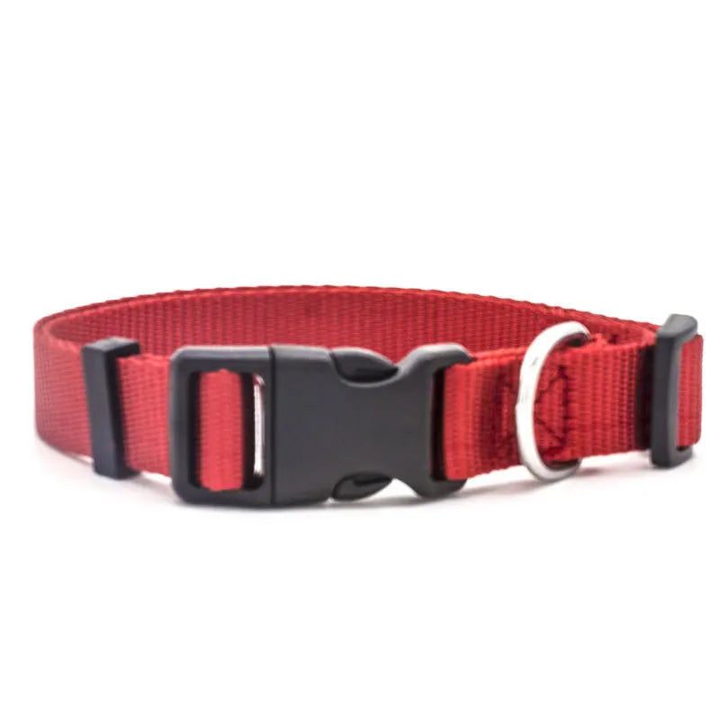 Solid Color Nylon Dog Collar – Adjustable Breakaway XS–XL