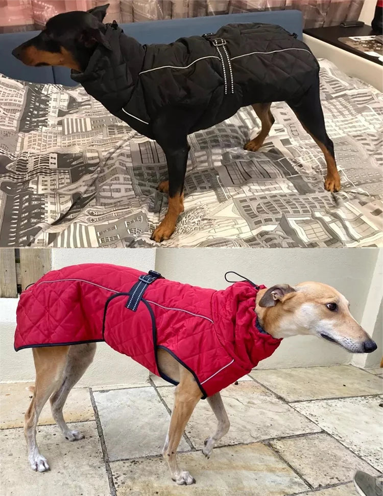 Waterproof Reflective Dog Coat – Cotton Lined Large Winter Jacket