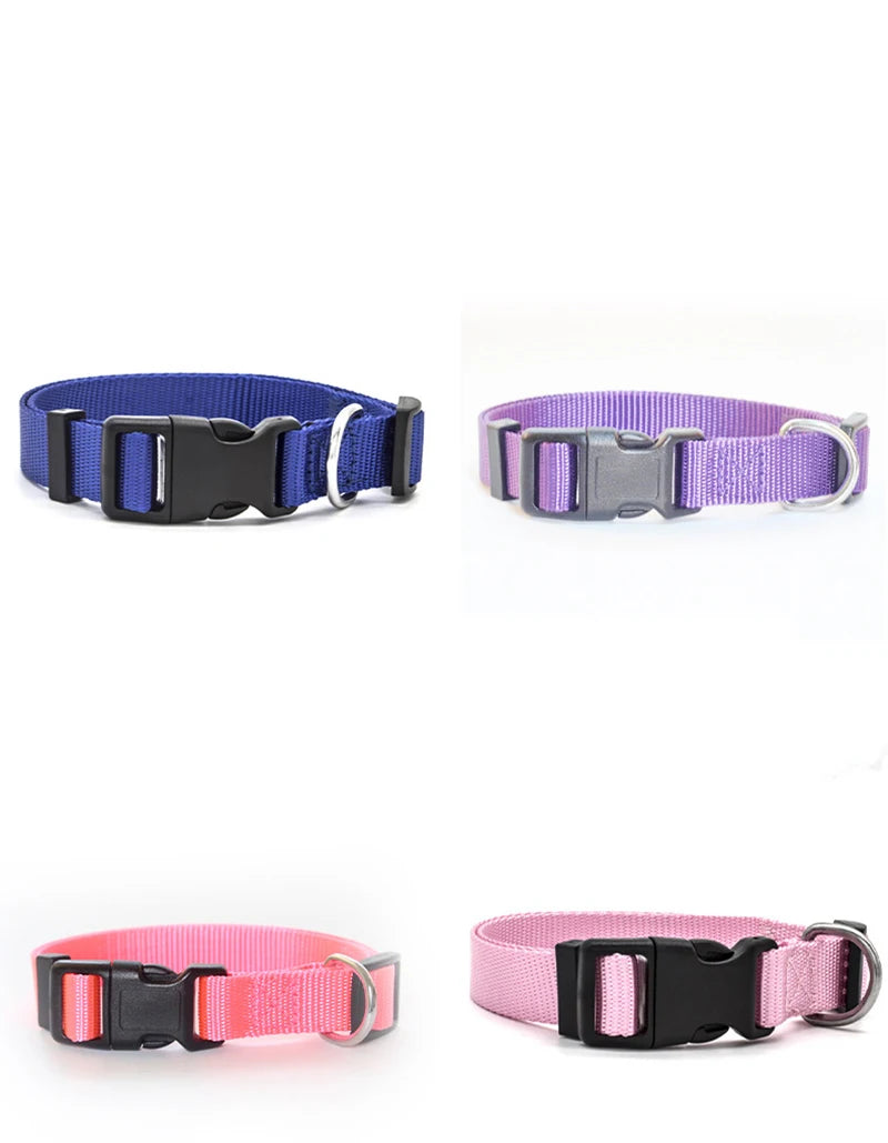 Solid Color Nylon Dog Collar – Adjustable Breakaway XS–XL