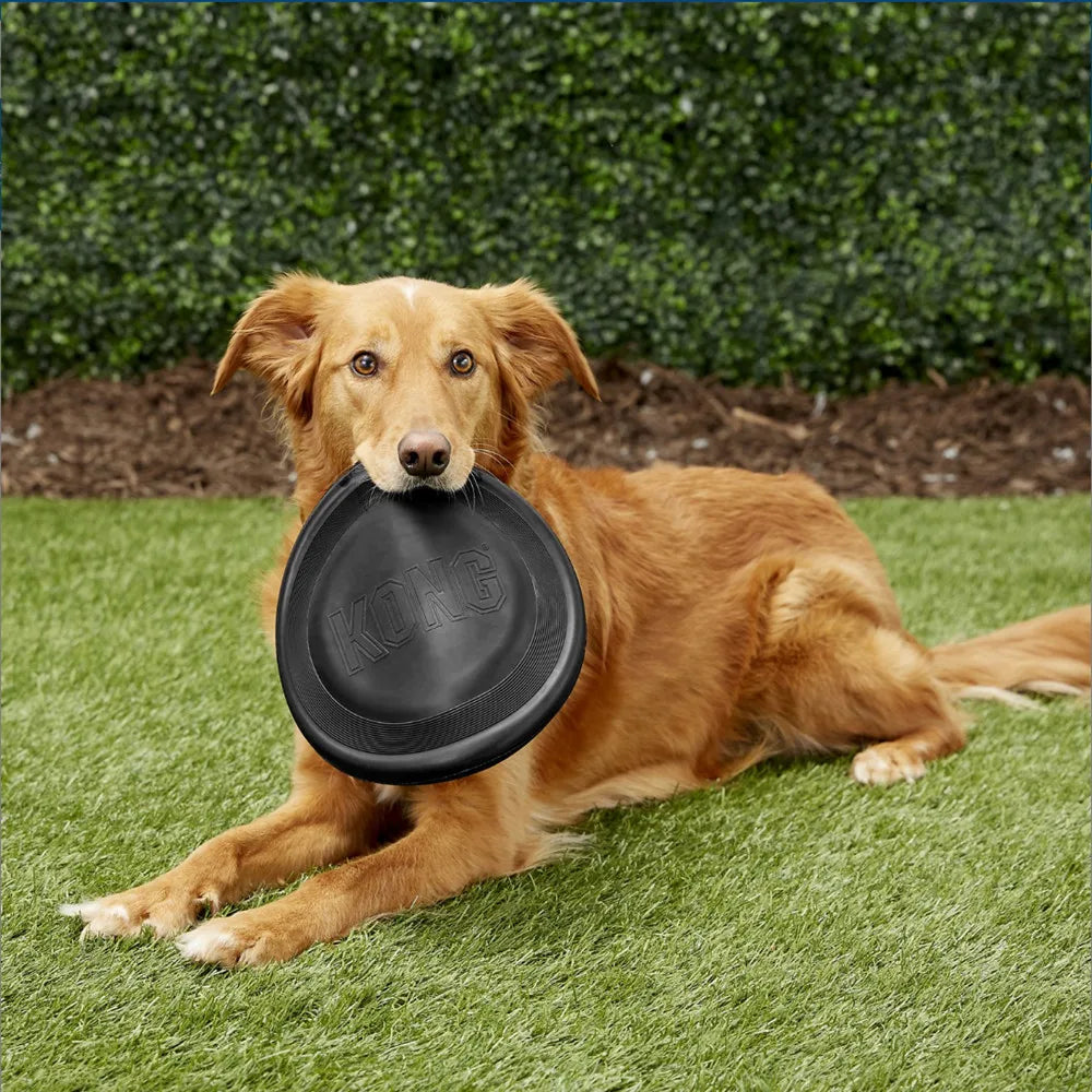KONG Extreme Flyer Dog Toy – Durable Rubber Flying Disc for Fetch