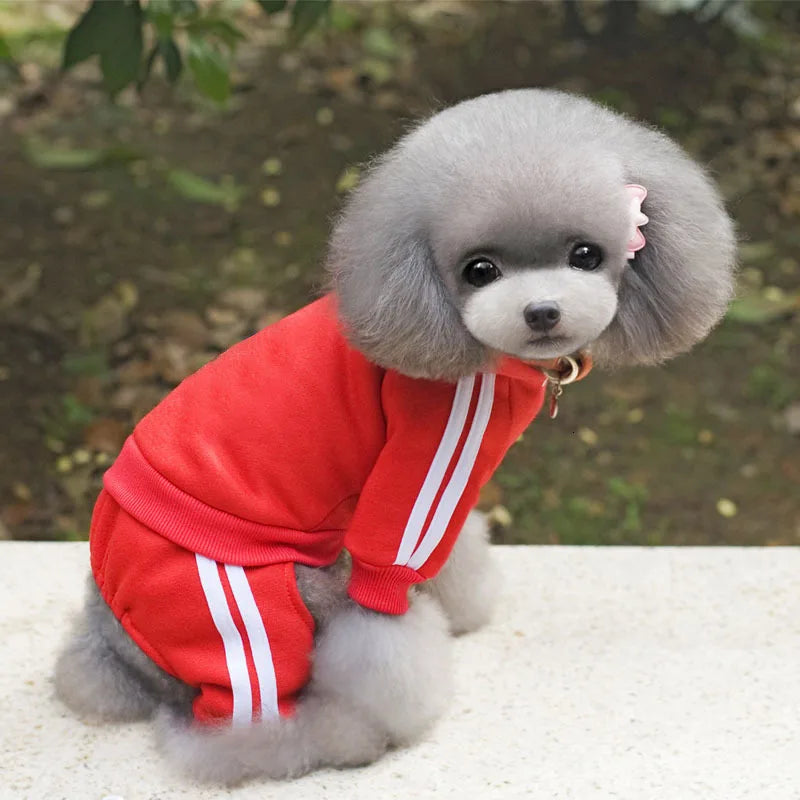 Adidog Dog Overalls Jumpsuit – Warm Winter Outfit XS-XL