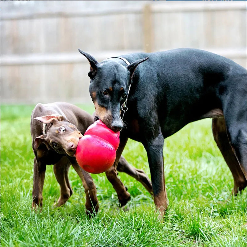 KONG Bounzer Dog Toy L – Durable Rubber Fetch Toy