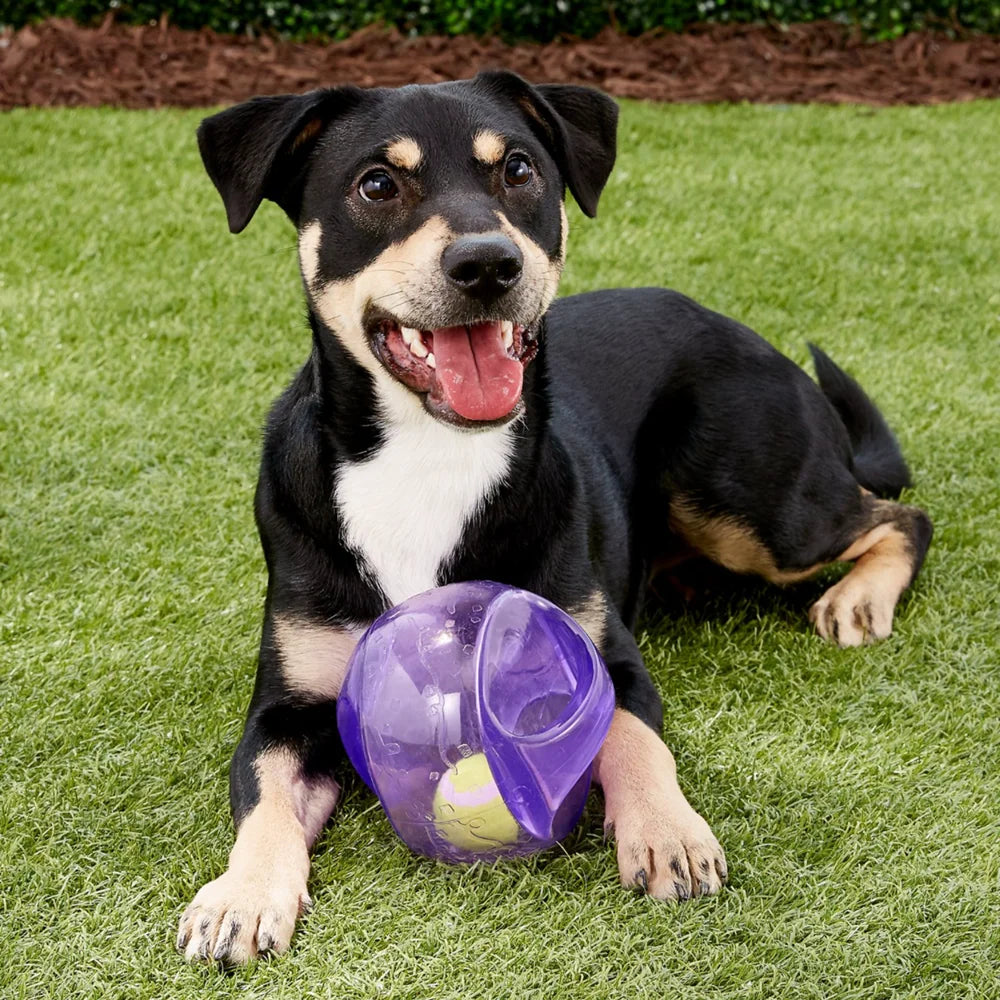 KONG Jumbler Dog Toy – Interactive Squeaky Ball with Handle (M/L)