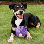 KONG Jumbler Dog Toy – Interactive Squeaky Ball with Handle (M/L)