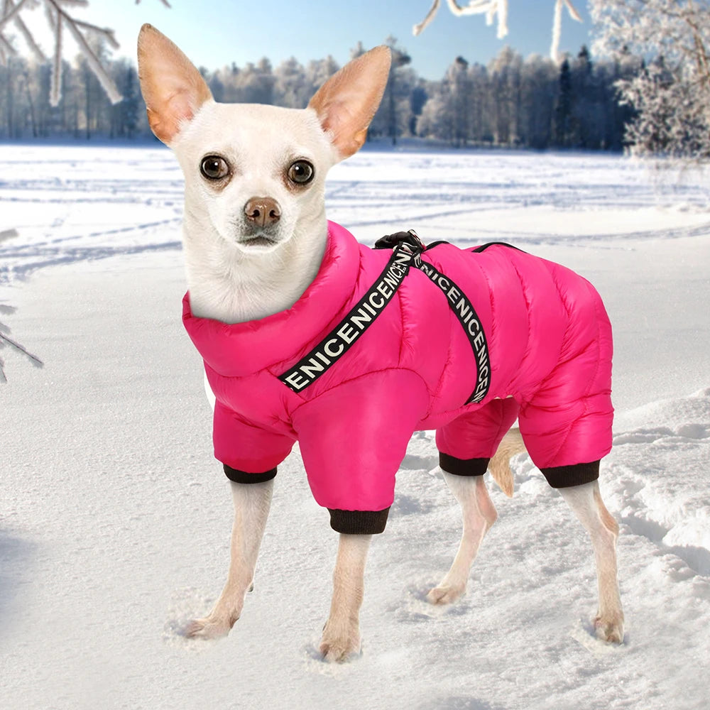 PET ARTIST Winter Dog Jacket – Waterproof Cotton Coat