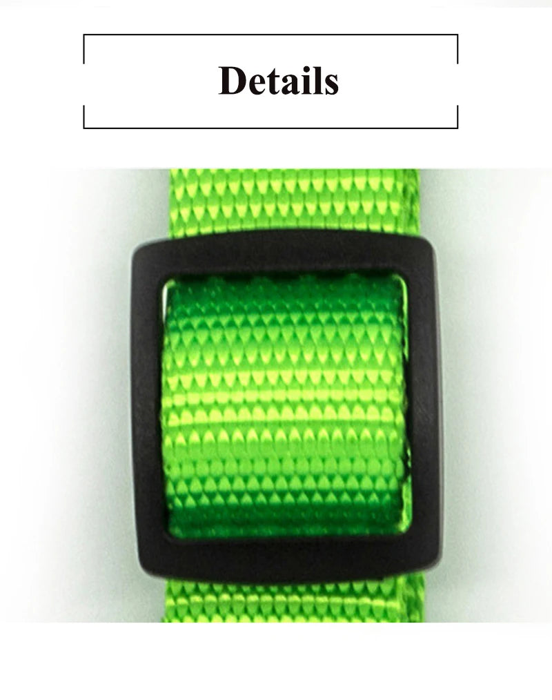Solid Color Nylon Dog Collar – Adjustable Breakaway XS–XL