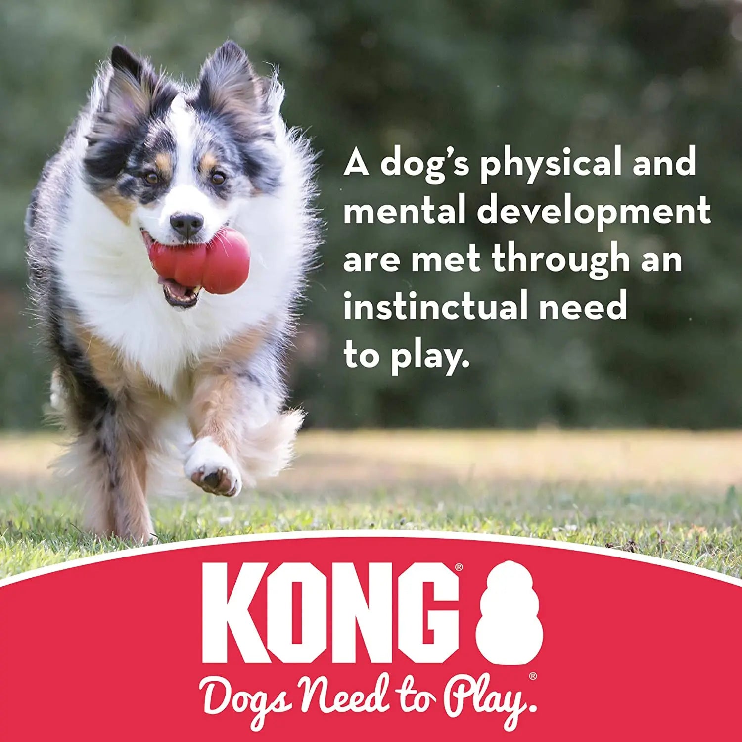 KONG Tug Toy for Dogs – Durable Natural Rubber Pull Toy
