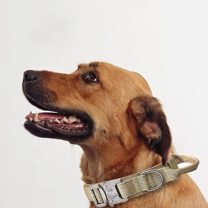 Reflective Nylon Dog Collar and Leash Set – Tactical 2PC for Large Dogs