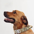 Reflective Nylon Dog Collar and Leash Set – Tactical 2PC for Large Dogs