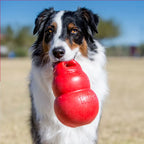 KONG Bounzer Dog Toy L – Durable Rubber Fetch Toy