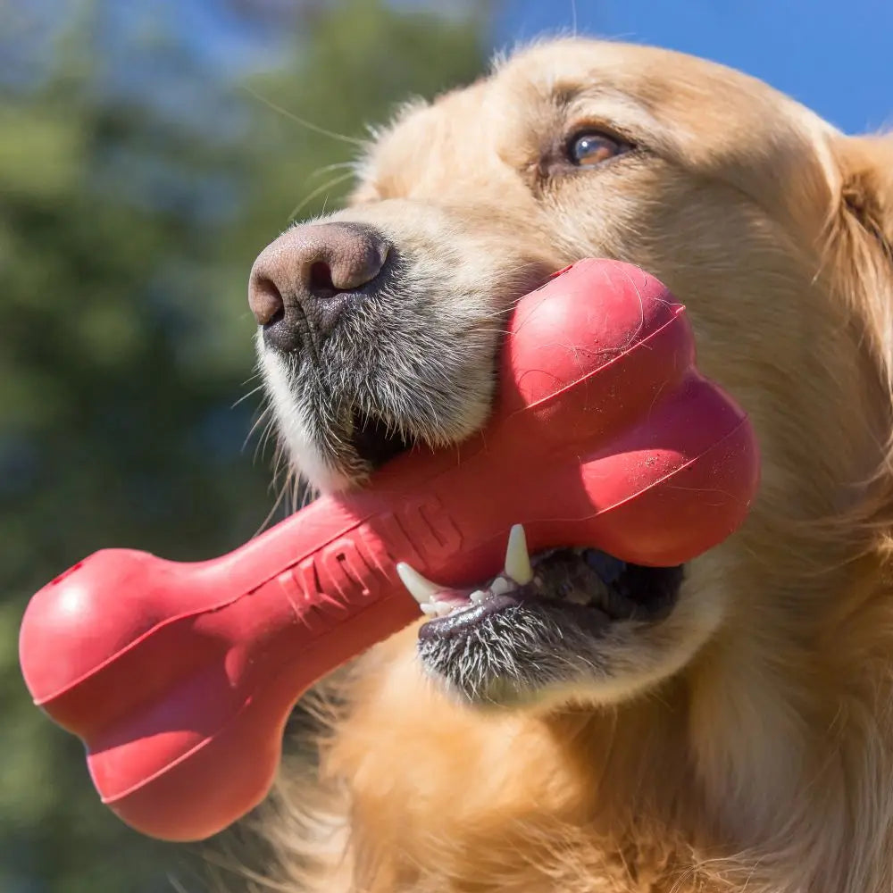 KONG Classic Goodie Bone Dog Toy – Treat Dispensing Rubber Chew Toy (S)