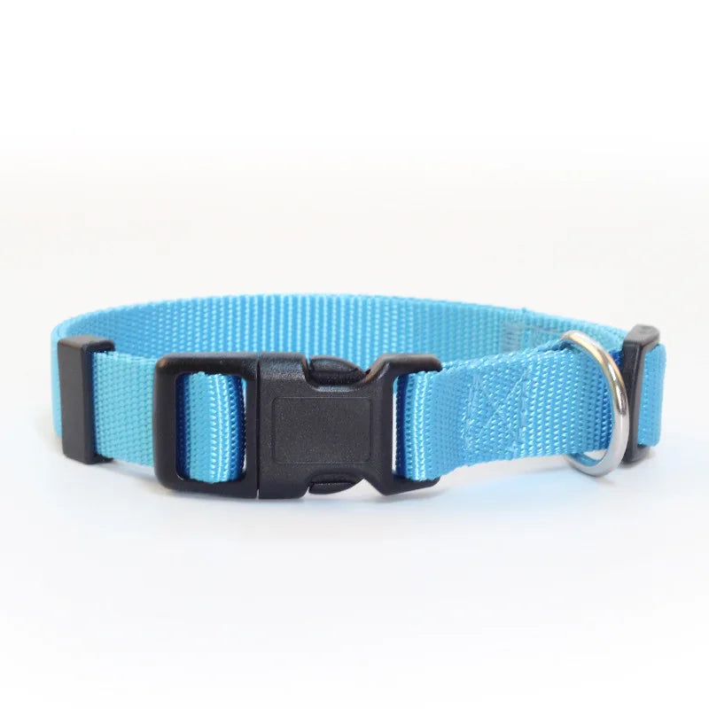 Solid Color Nylon Dog Collar – Adjustable Breakaway XS–XL