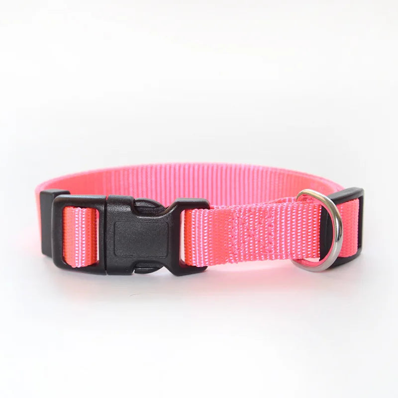 Solid Color Nylon Dog Collar – Adjustable Breakaway XS–XL