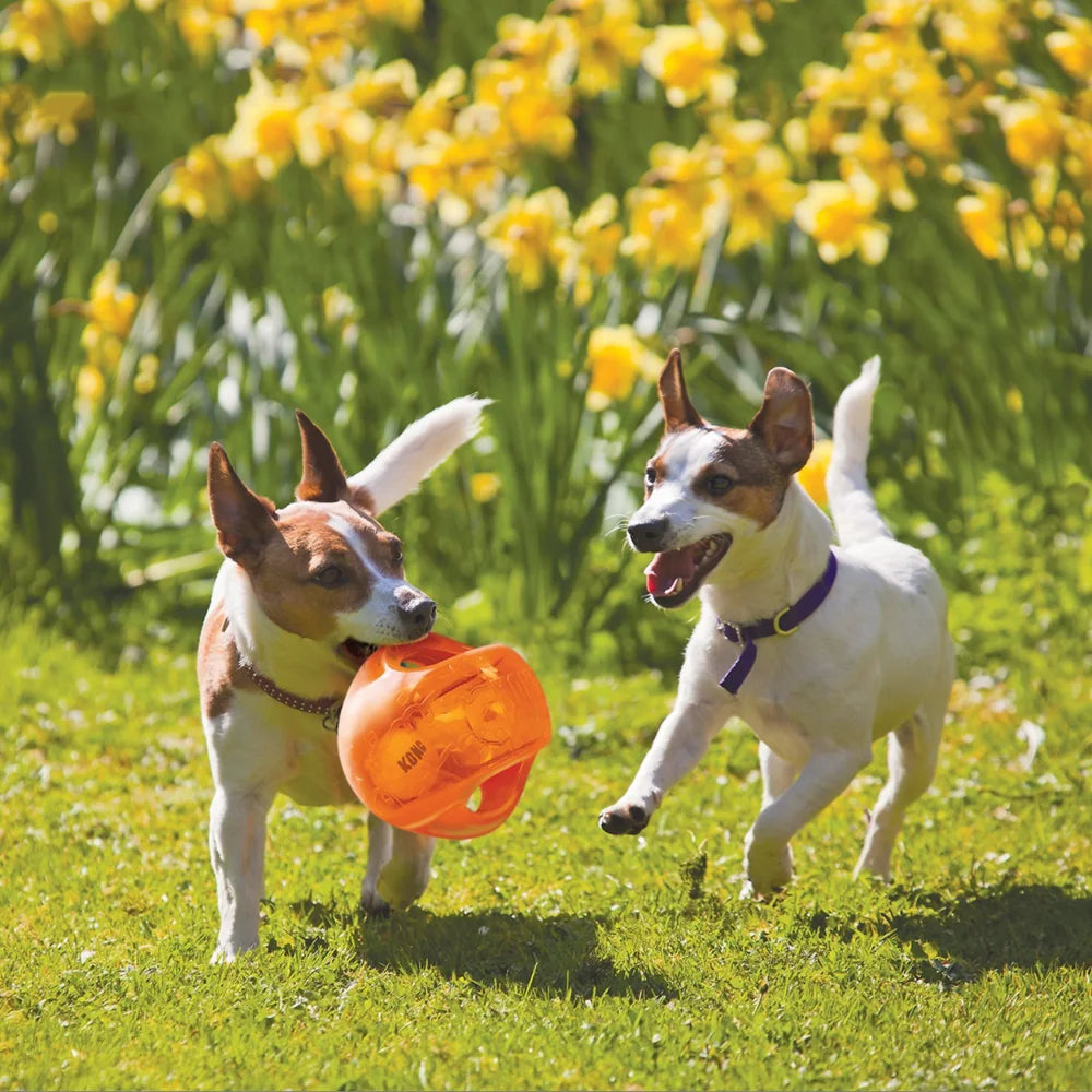 KONG Jumbler Dog Toy – Interactive Squeaky Ball with Handle (M/L)