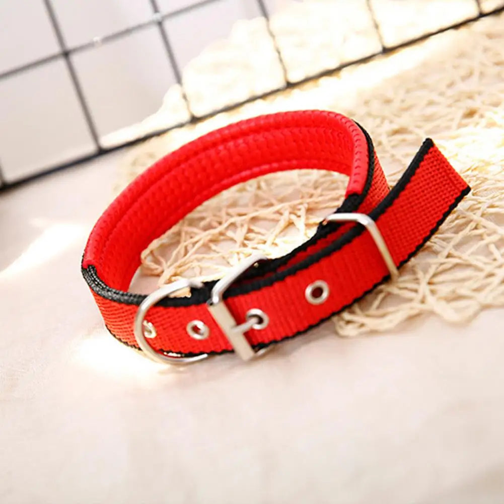 SANWOOD Adjustable Nylon Dog Collar with Traction Ring – Durable Fit All Breeds