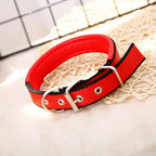 SANWOOD Adjustable Nylon Dog Collar with Traction Ring – Durable Fit All Breeds