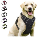 BeiYu Pet Dog Harness Vest Set – Leather Collar & Leash Kit for Small Dogs
