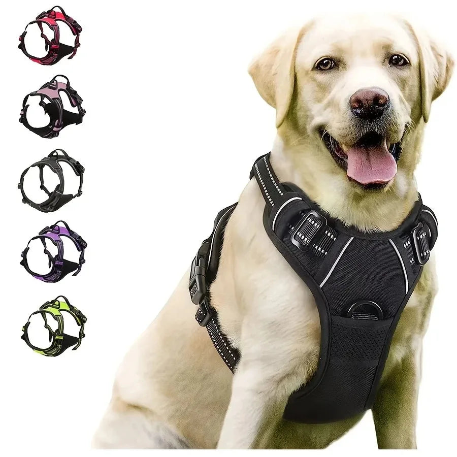 BeiYu Pet Dog Harness Vest Set – Leather Collar & Leash Kit for Small Dogs