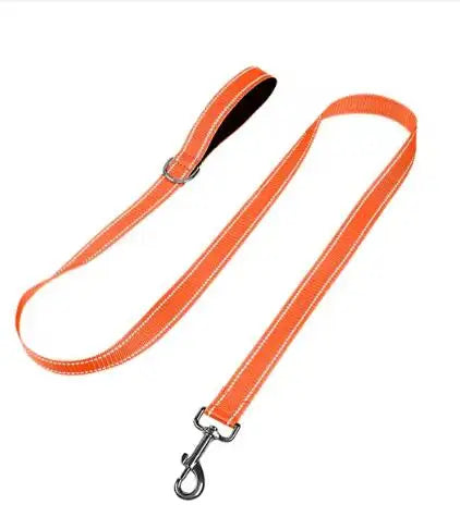 Dog Leash – Reflective Night Safety