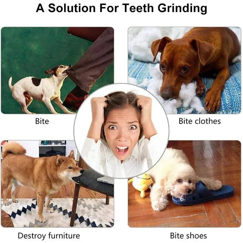 Bite Resistant Treat Feeder Ball - Durable Toy for Dogs with Tooth Cleaning Benefits
