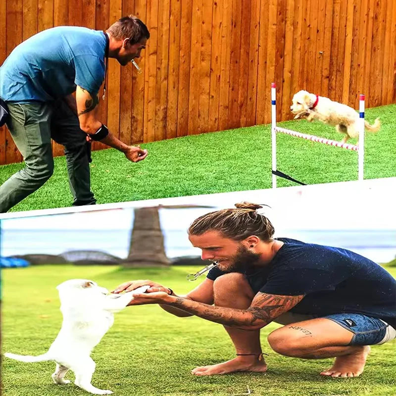 Ultrasonic Dog Training Whistle – Adjustable Stainless Steel Recall & Bark Control Tool