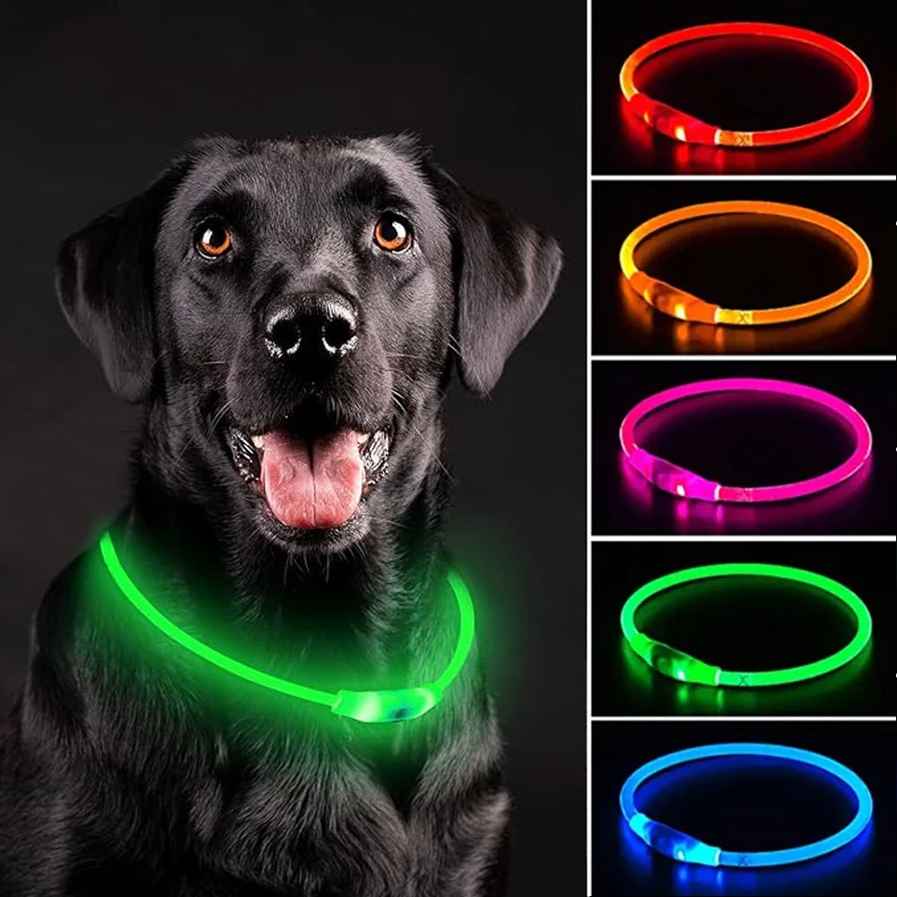 LED Dog Collar USB Rechargeable – 3 Mode Night Safety Light