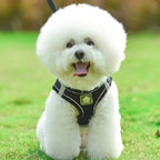 Reflective Dog Harness and Leash Set – No Pull Mesh Vest