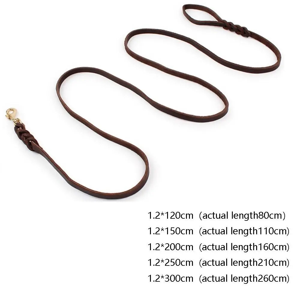 Dog Leather Leash – Braided Copper Hook
