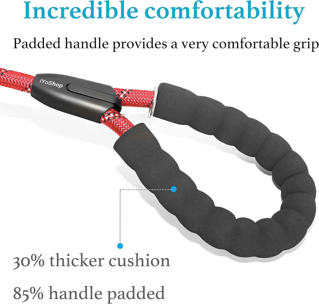 Dog Double Leash – Tangle-Free Bungee Control