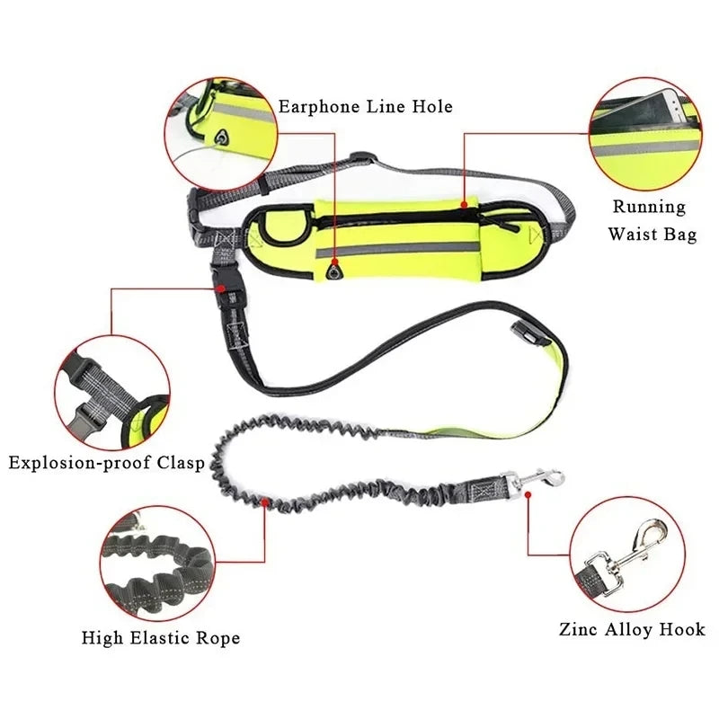 Dog Leash – Hands-Free Running Belt