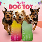 Plush Squeaky Dog Toy for All Sizes