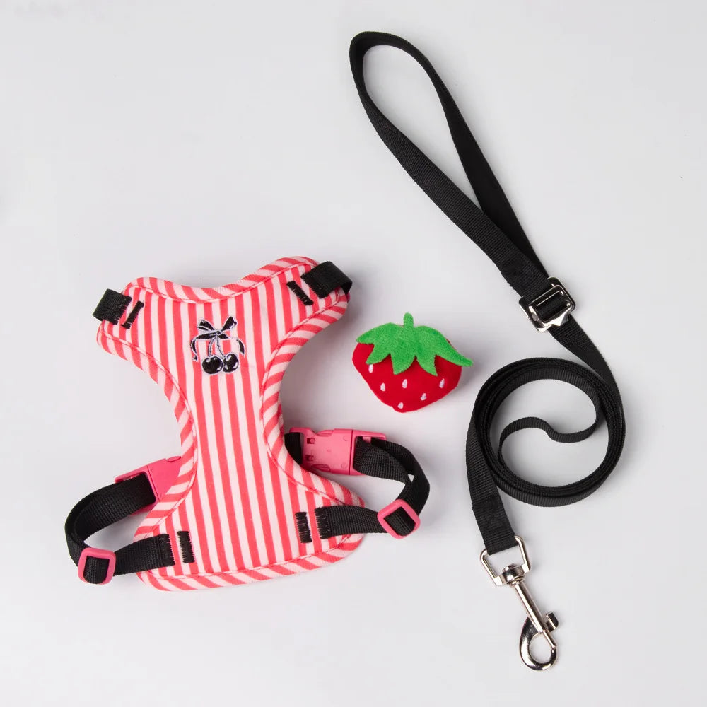 Luxury Dog Harness Set – Stylish Leash & Plush Design