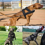 Dog Pulling Harness – Weight Training Vest