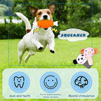 Dog Squeaky Plush Toys 50-Pack – Soft Toys for Small & Medium Dogs